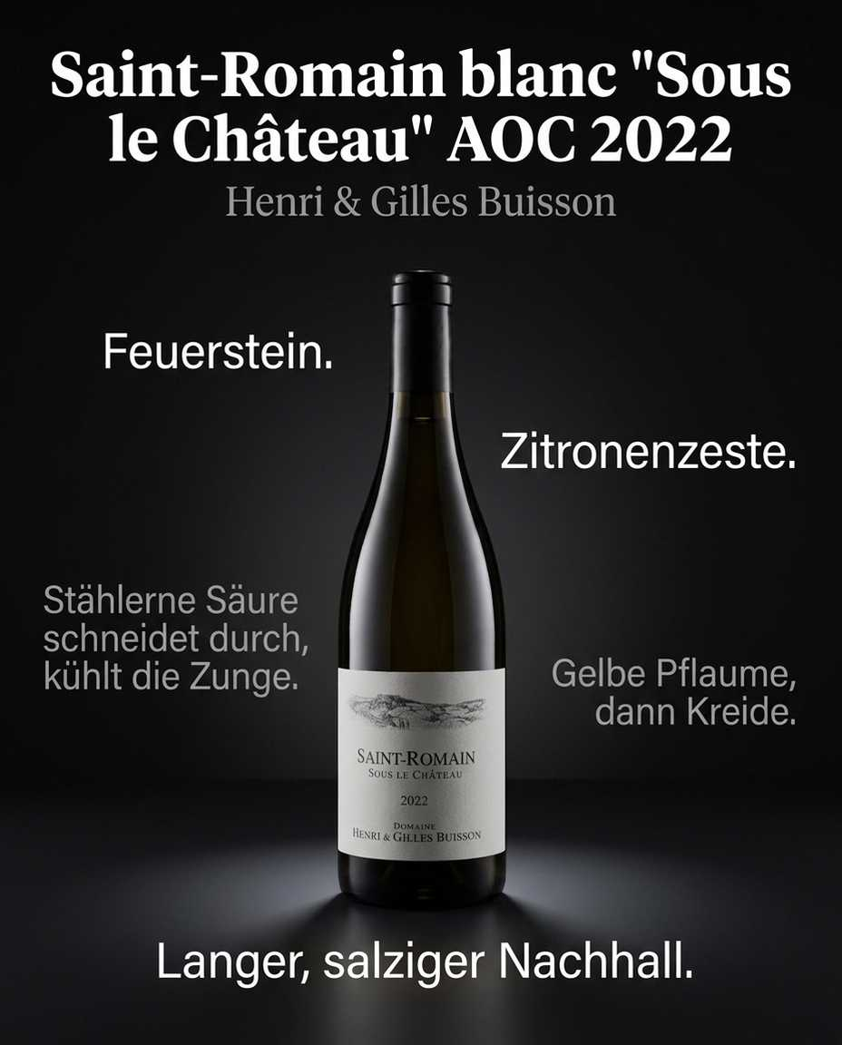Saint-Romain blanc "Sous le Château" AOC 2022 — Feuerstein. Zitronenzeste. Stählerne Säure schneidet durch, kühlt die Zunge. Gelbe Pflaume, dann Kreide. Langer, salziger Nachhall.