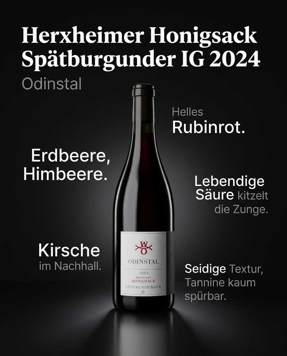 Herxheimer Honigsack Spätburgunder IG 2024 — Helles Rubinrot. Erdbeere, Himbeere. Lebendige Säure kitzelt die Zunge. Seidige Textur, Tannine kaum spürbar. Kirsche im Nachhall.