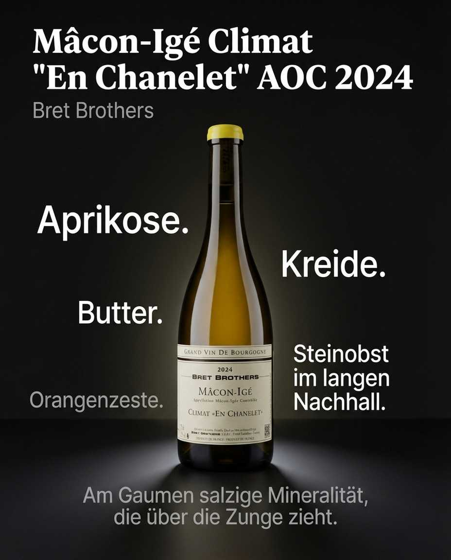 Mâcon-Igé Climat "En Chanelet" AOC 2024 — Aprikose. Butter. Orangenzeste. Am Gaumen salzige Mineralität, die über die Zunge zieht. Kreide. Steinobst im langen Nachhall.