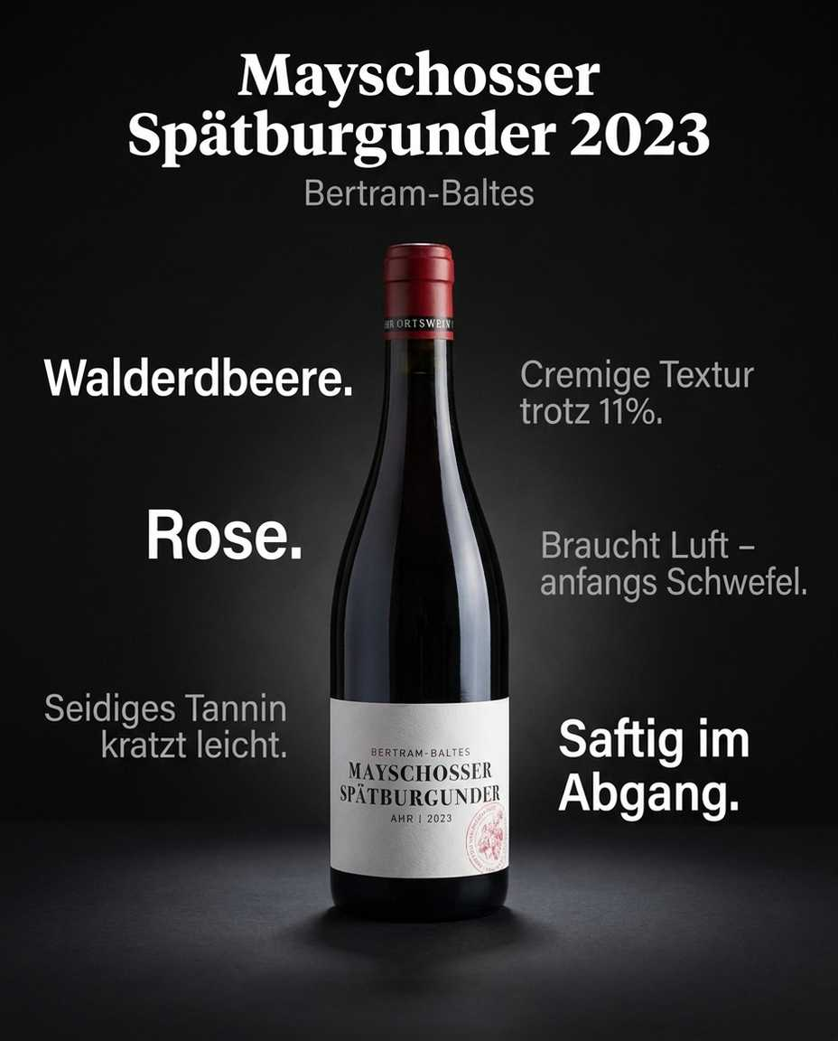 Mayschosser Spätburgunder 2023 — Rose. Walderdbeere. Seidiges Tannin kratzt leicht. Cremige Textur trotz 11%. Braucht Luft – anfangs Schwefel. Saftig im Abgang.