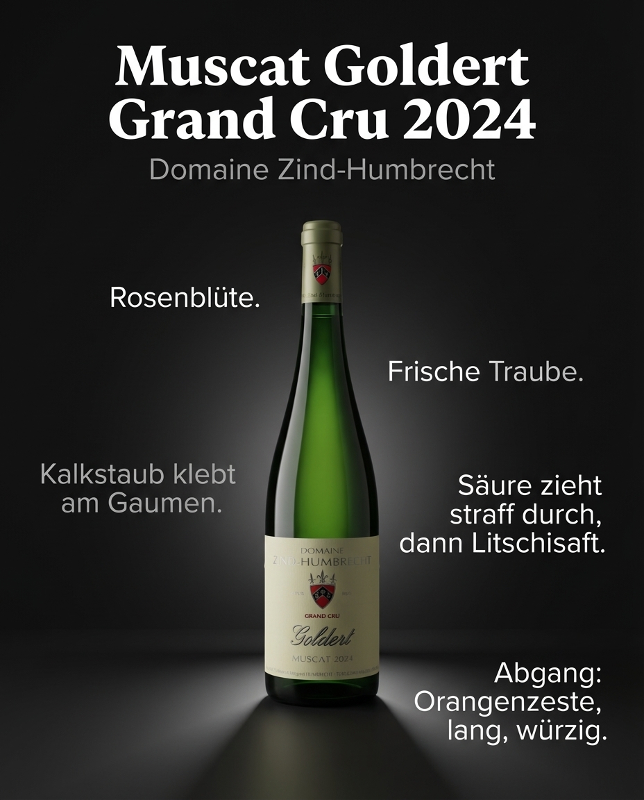 Muscat Goldert Grand Cru 2024 — Rosenblüte. Frische Traube. Kalkstaub klebt am Gaumen. Säure zieht straff durch, dann Litschisaft. Abgang: Orangenzeste, lang, würzig.