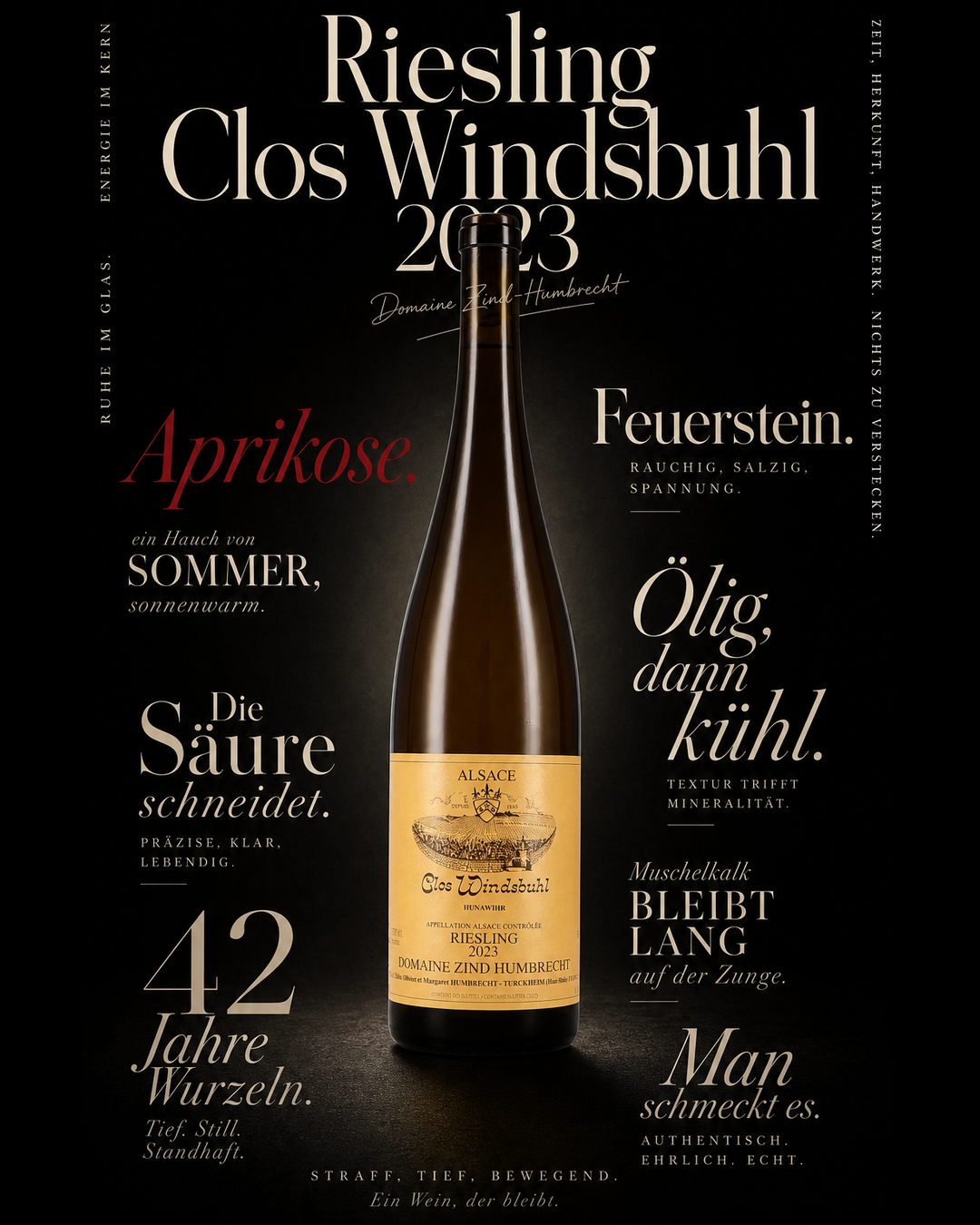 Riesling Clos Windsbuhl 2023 — Aprikose. Feuerstein. Ölig, dann kühl. Die Säure schneidet. Muschelkalk bleibt lang auf der Zunge. 42 Jahre Wurzeln. Man schmeckt es.