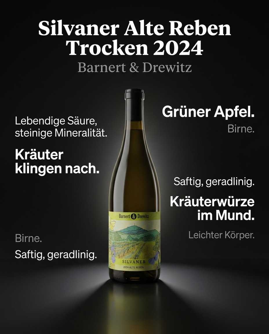 Silvaner Alte Reben Trocken 2024 — Grüner Apfel. Birne. Kräuterwürze im Mund. Lebendige Säure, steinige Mineralität. Leichter Körper. Kräuter klingen nach. Saftig, geradlinig.