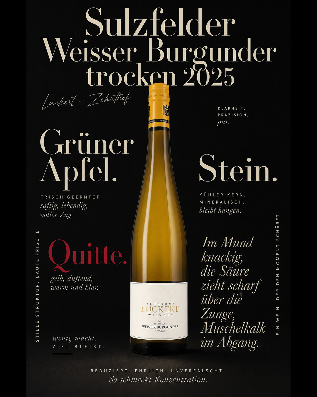 Sulzfelder Weisser Burgunder trocken 2025 — Grüner Apfel. Quitte. Stein. Im Mund knackig, die Säure zieht scharf über die Zunge, Muschelkalk im Abgang.